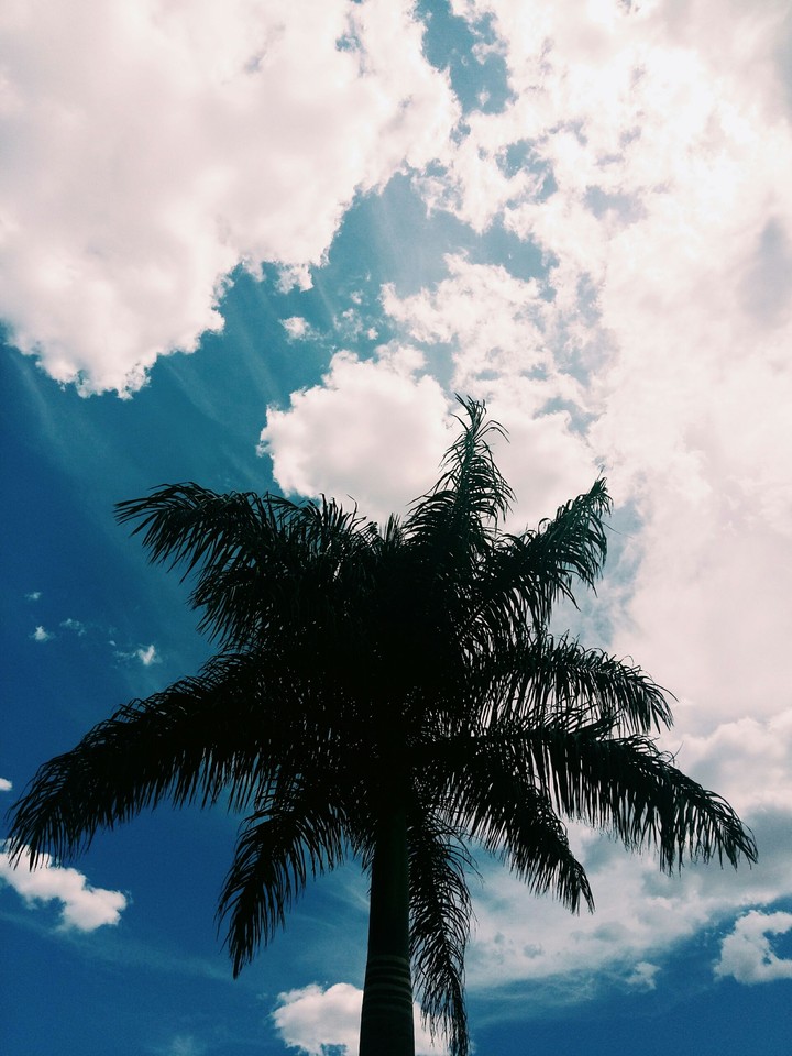 Céu
