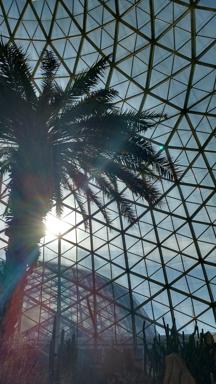 botanical beauty