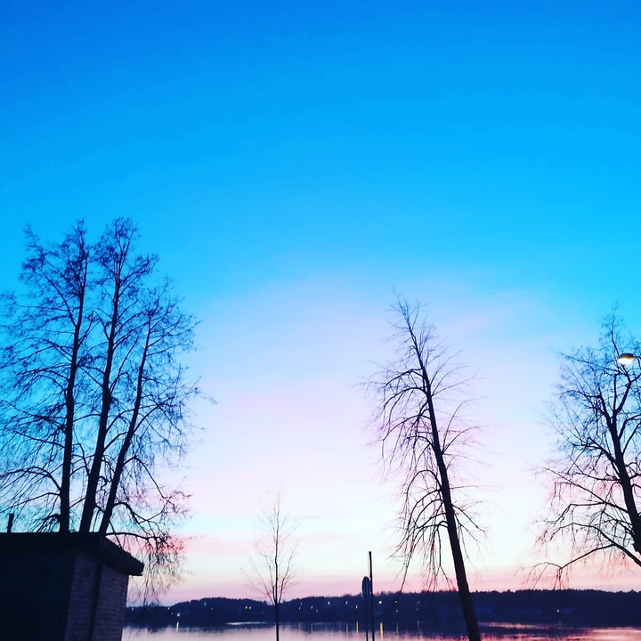 morning