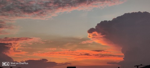 beauty of nature