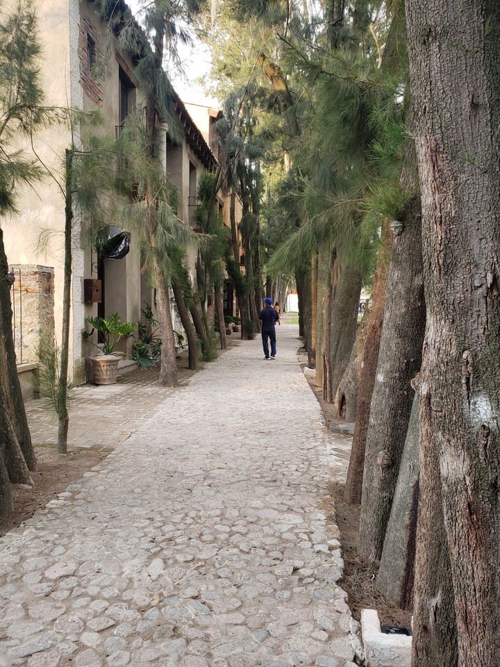 Walk