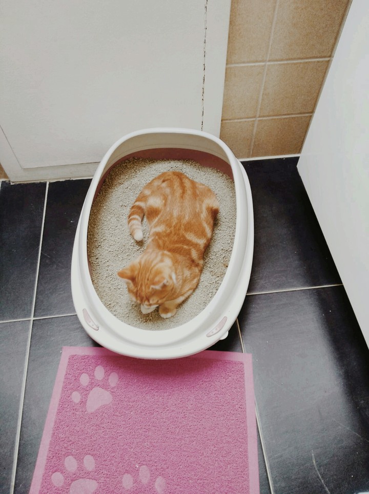 sooo dirty!