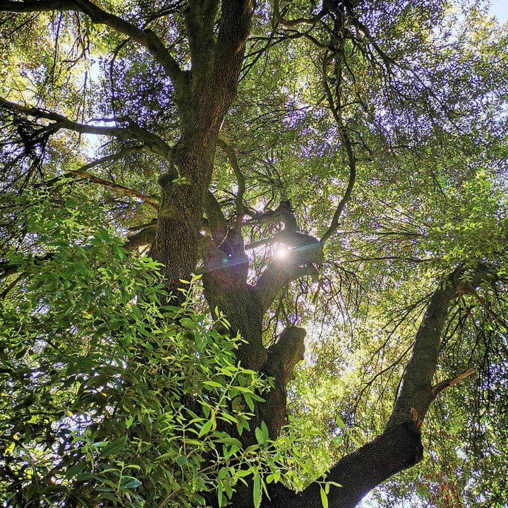 sun beam