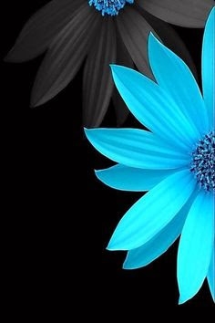 black and blue