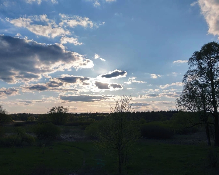Тетерев