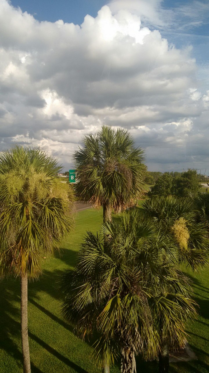 Orlando, FL