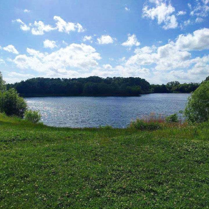 Lakeside View