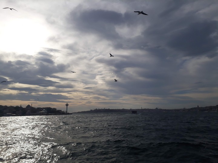 Bulut