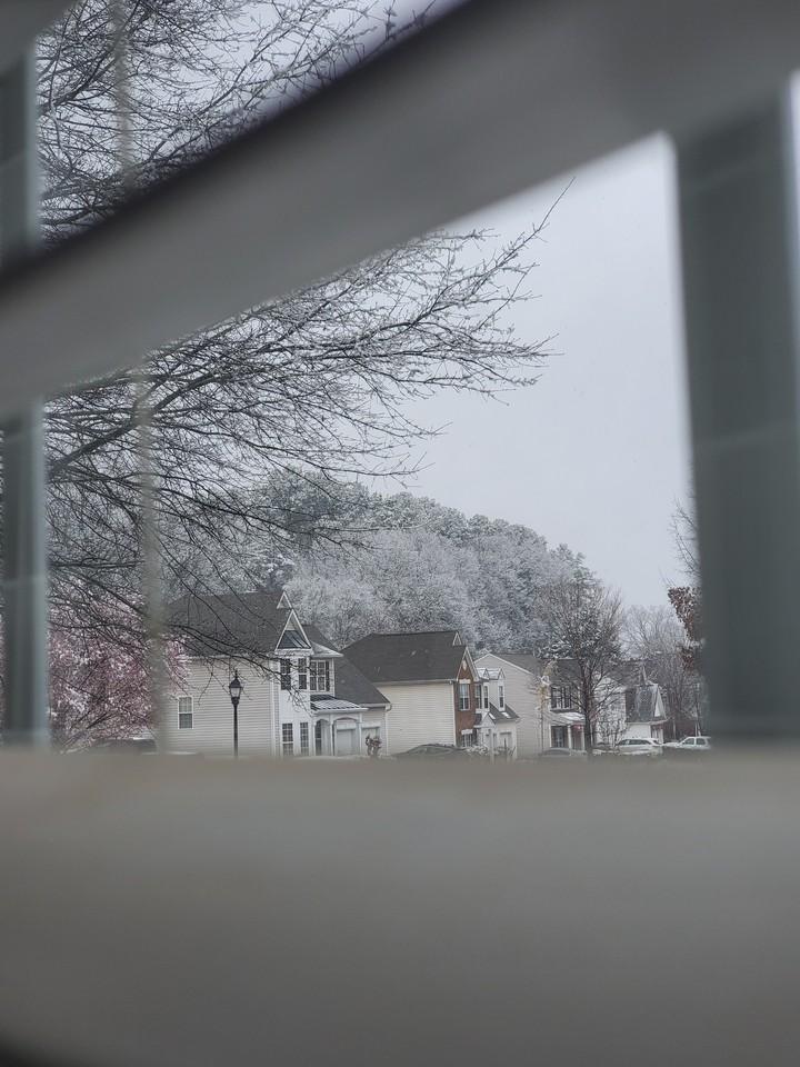 snowy neighborhood