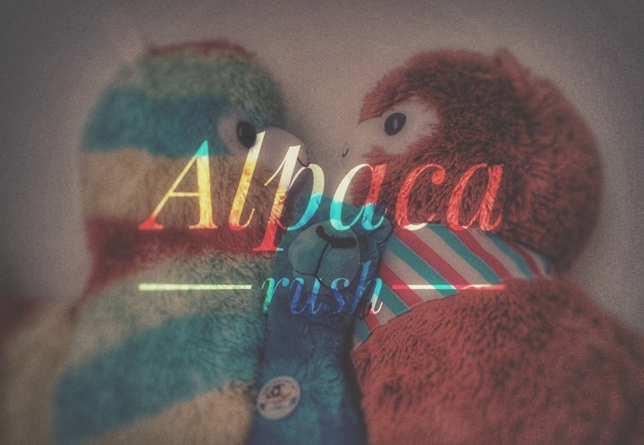 Alpaca family