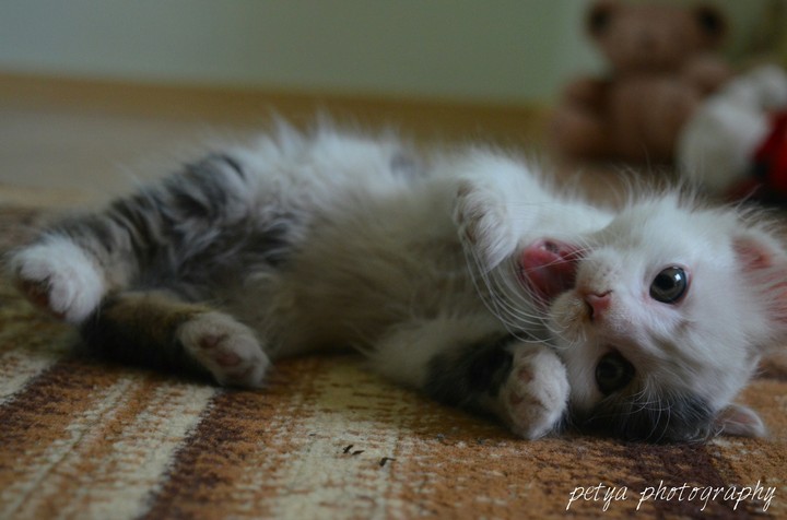 so cute