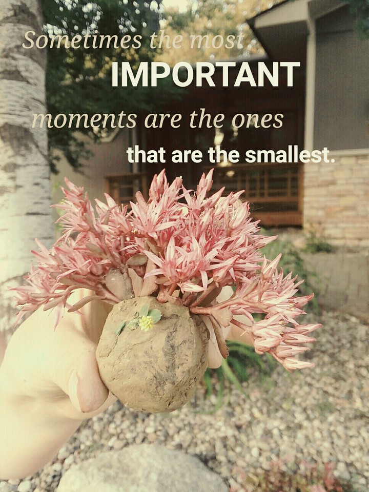 sometimes the most important moments are the smallest