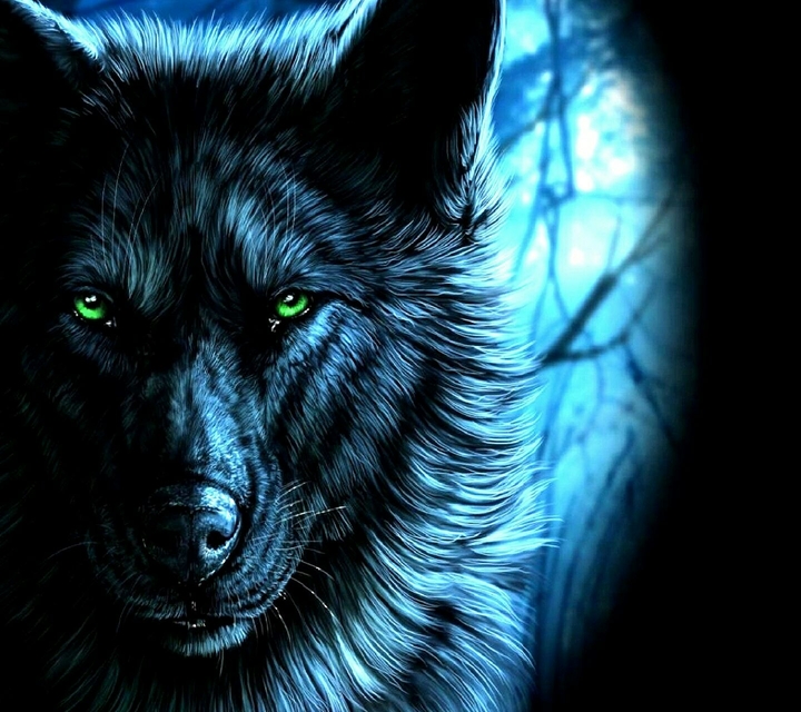 wolf