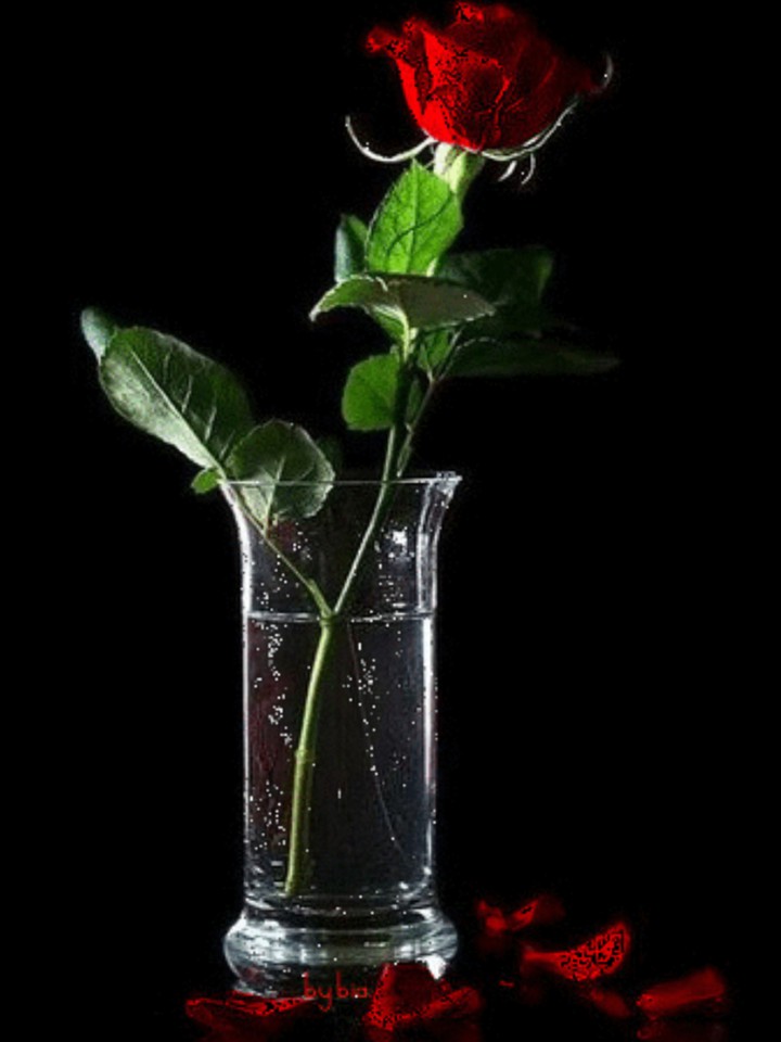 ONLY LOVE