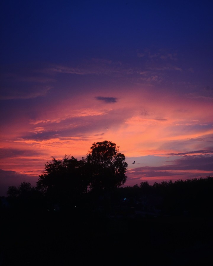 purple clouds