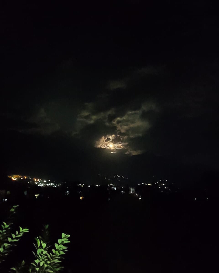 bright night