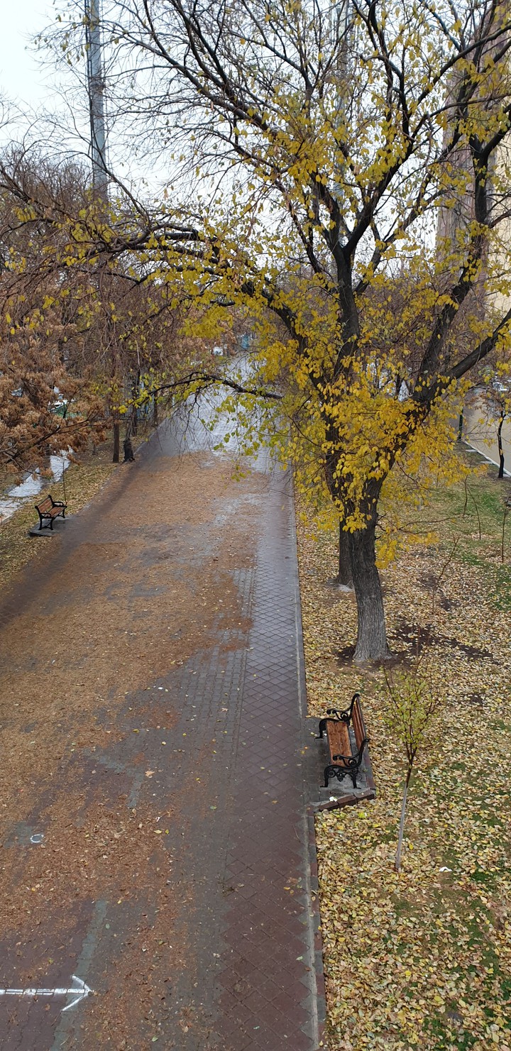 fall scenery