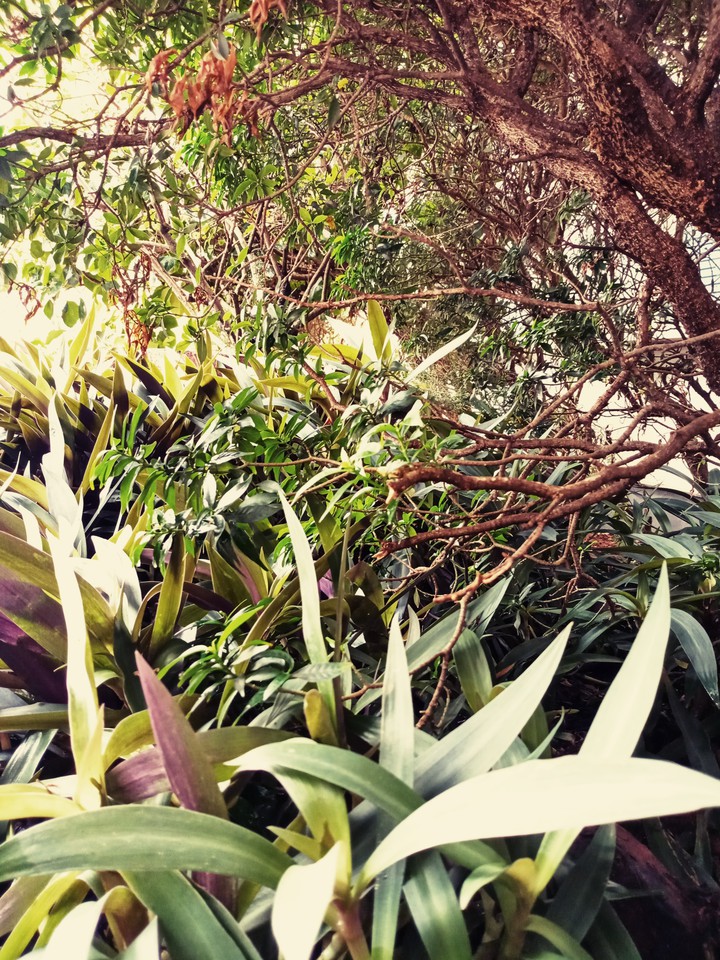 back to nature