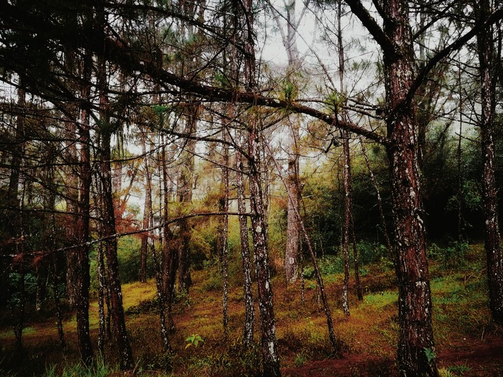 Let's Get Lost