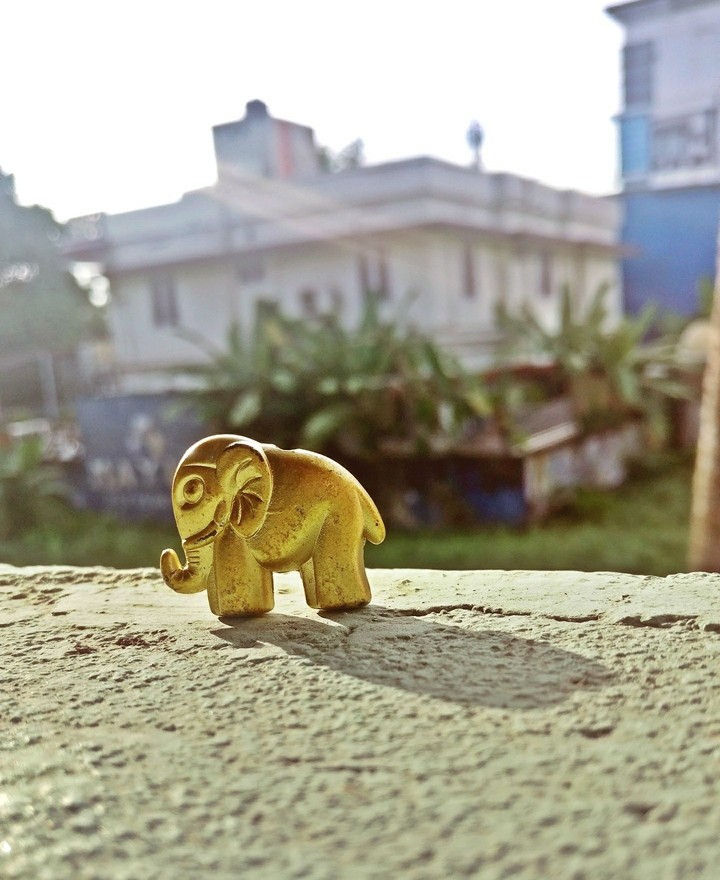 Cute Elephant.