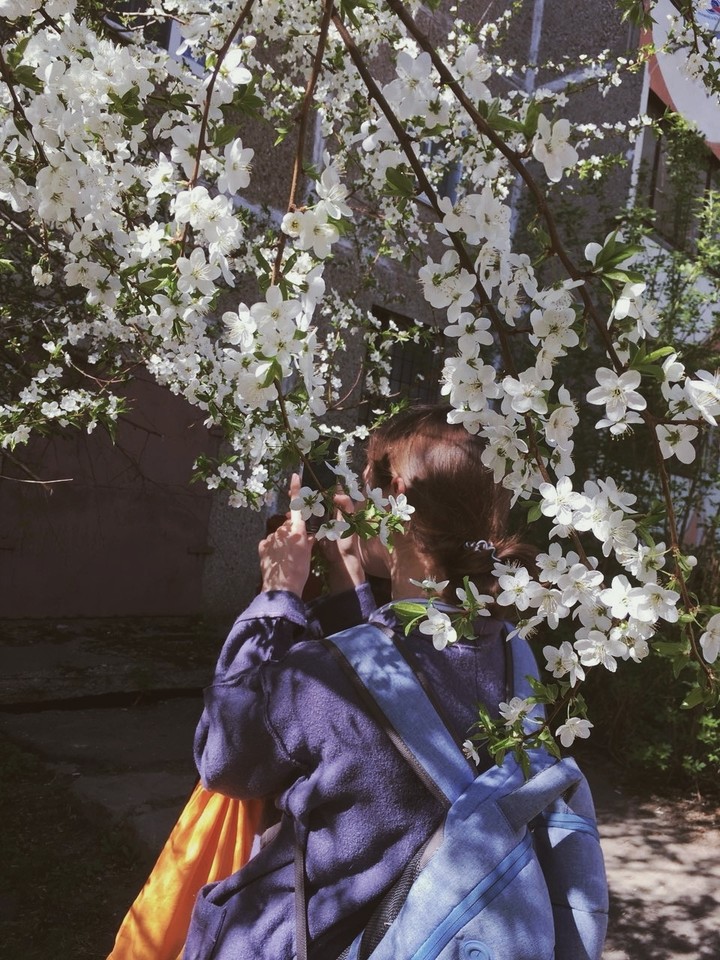 Sakura?! nope...