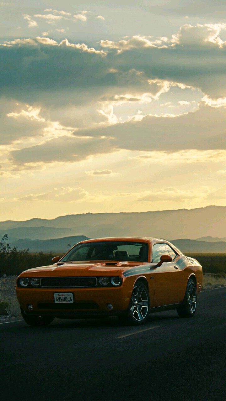 Mustang