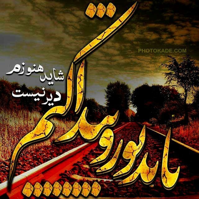 باید تورا پیدا کنم شاید هنوزم 