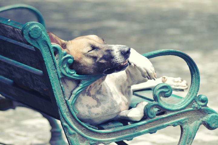 lazy