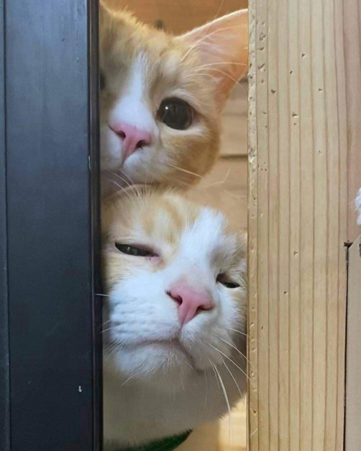 ❤
