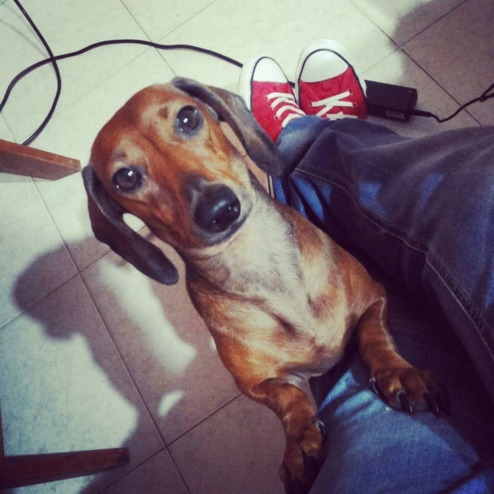 un pezzo del mio cuore