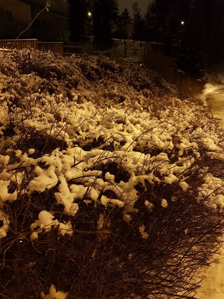 #snow#night#dark#lights