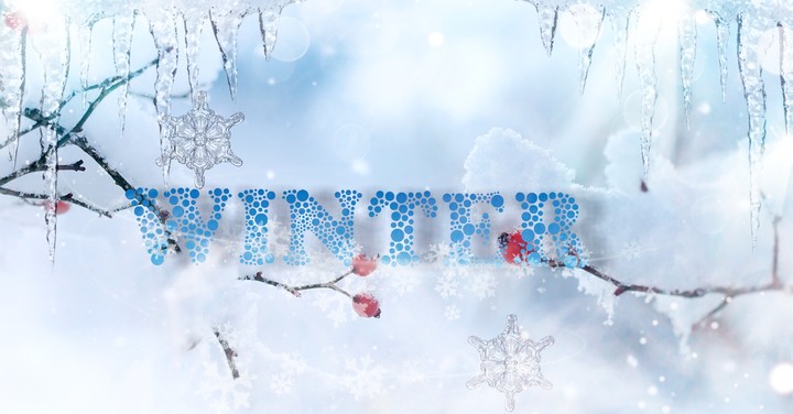 ❄️winter❄️