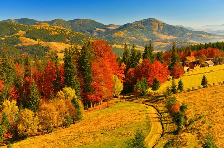 Autumn