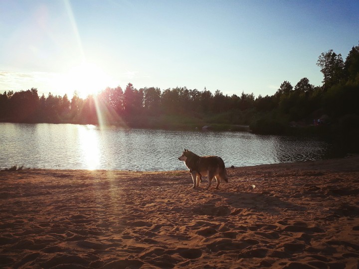 summer