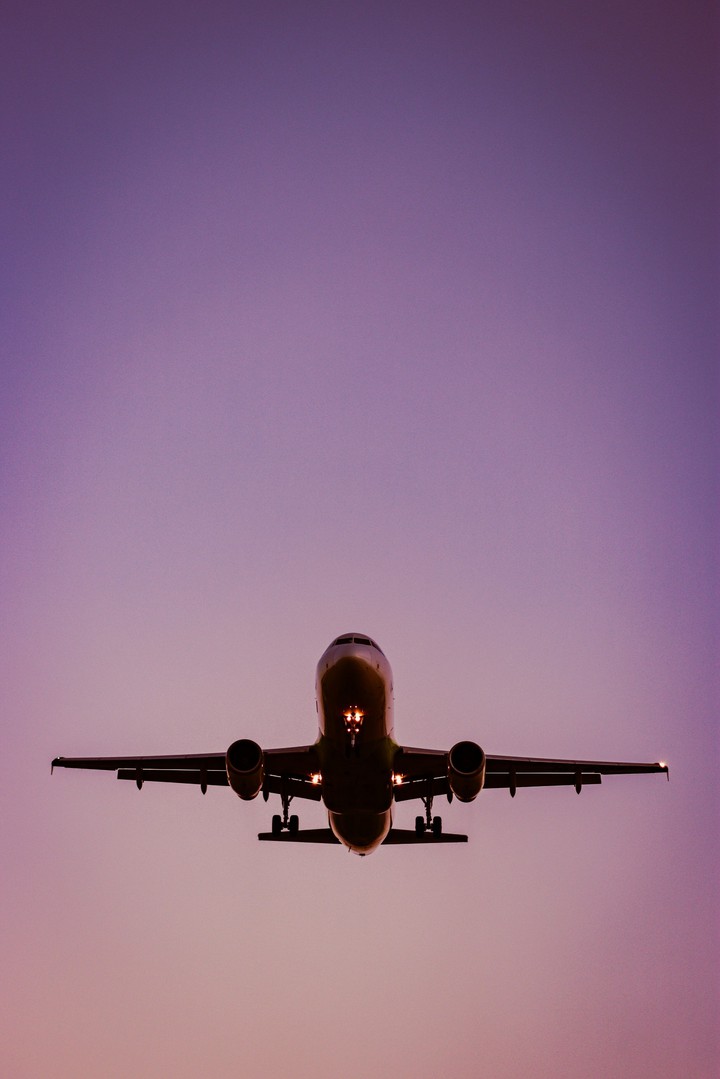 Fly in the Sky