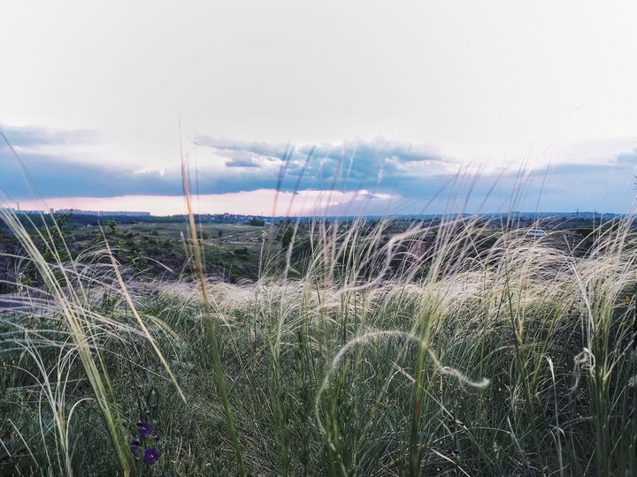 grass whisper