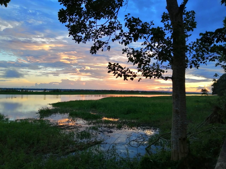 Río Amazonas Colombia