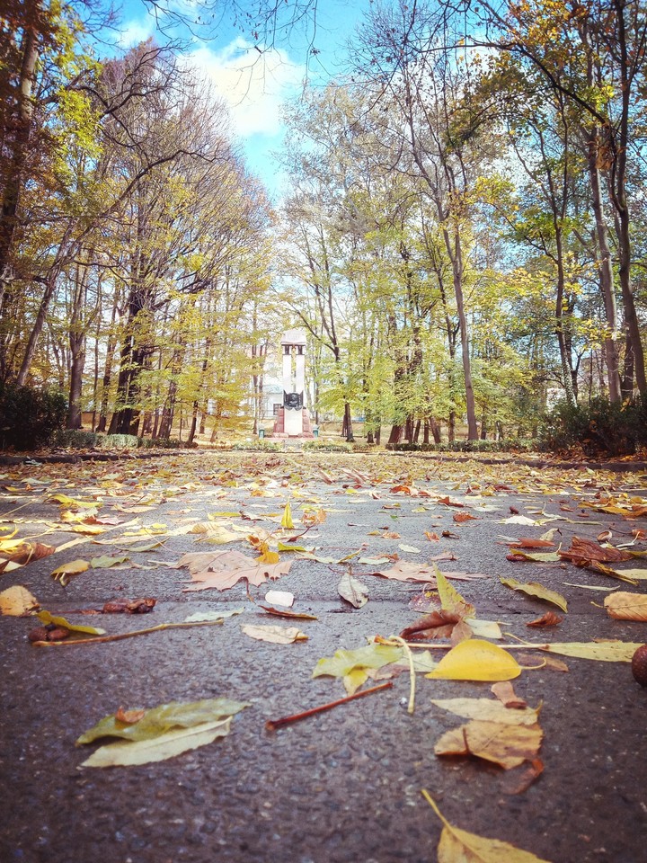After some light rain in Fall