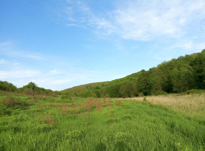 Hungary landscape