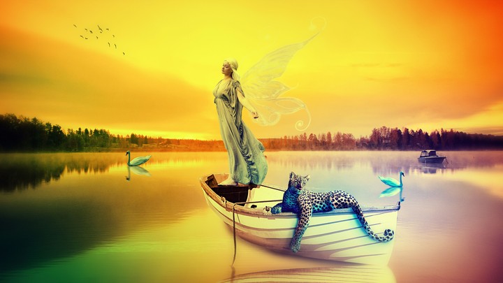 Beautifull Nature