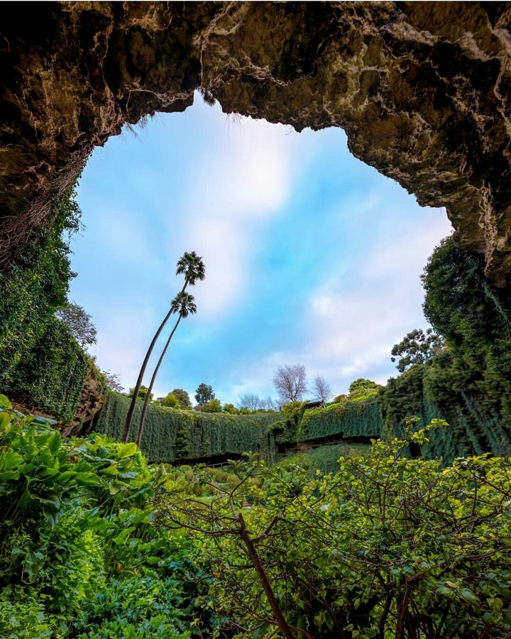 nature