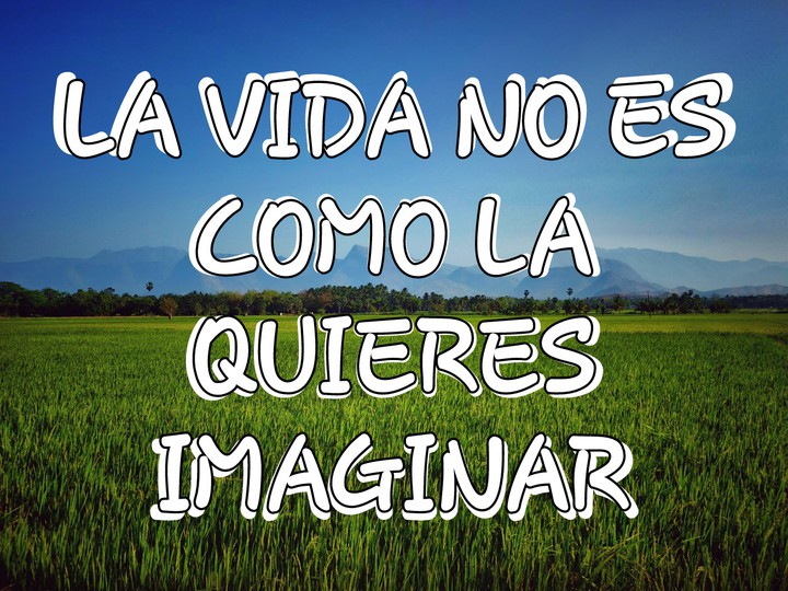 verdad o mentira