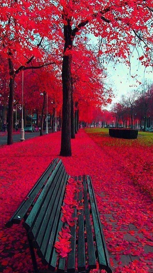 autumn