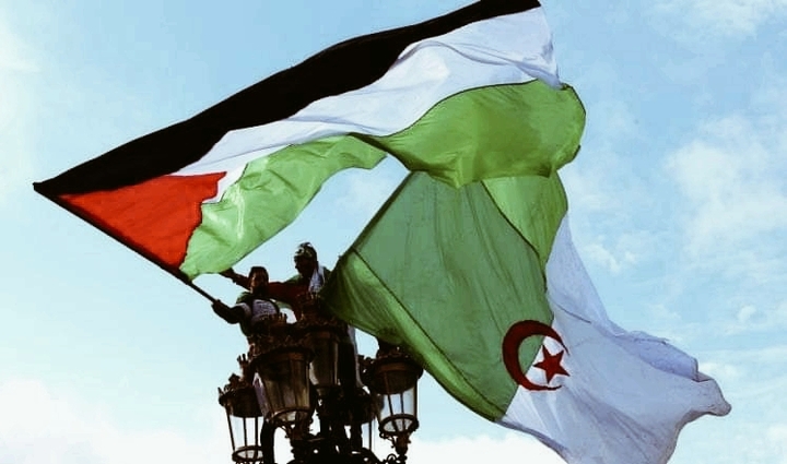 Palestine Aldjazair