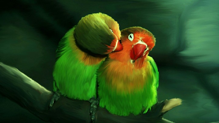 Parrot love