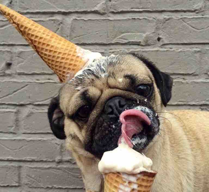 he liked ice cream
