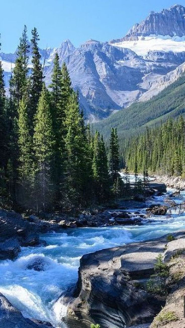 Nature.. ♥️