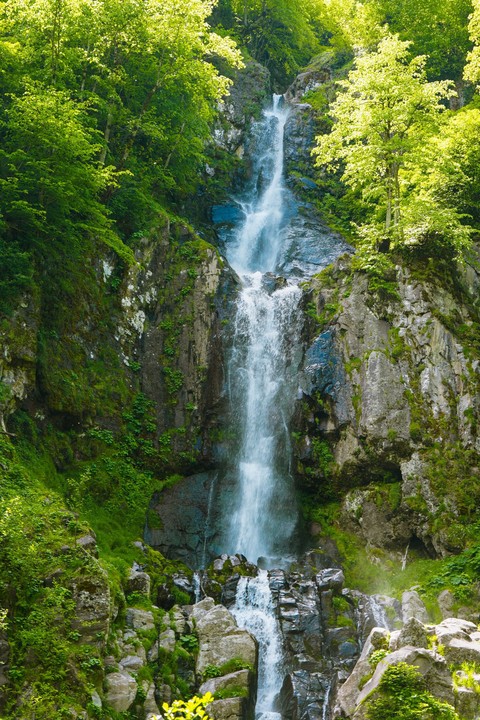 watercourse, Wilderness háttérképek
