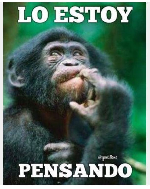 Qué será, què serà?