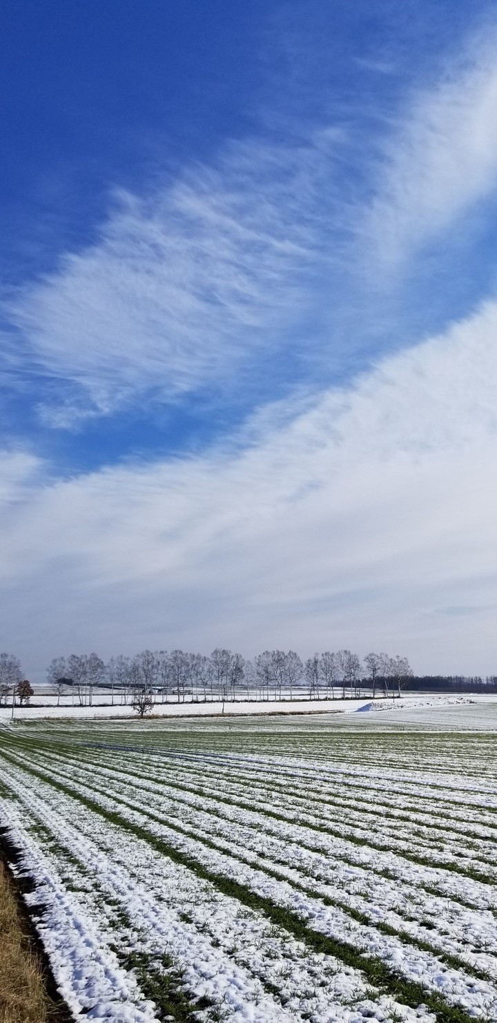 北国の雪景色